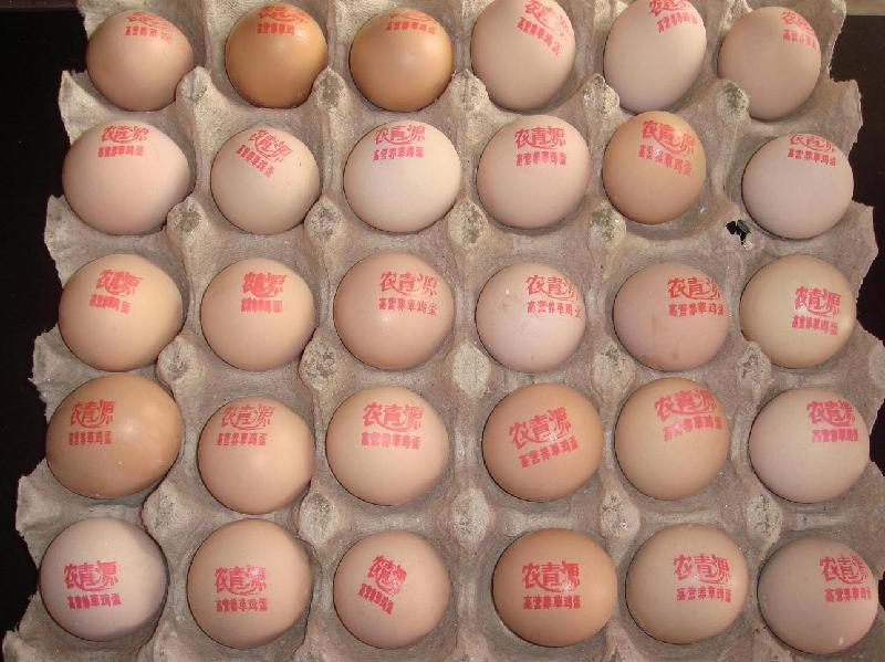 食用墨打鸡蛋